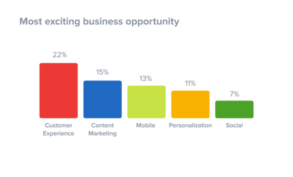 customer-experience-most-exciting-business-opportunity-2018-1024×620