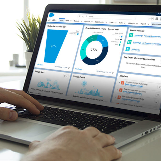 Membership management - a screen from a membership organisation's Salesforce CRM