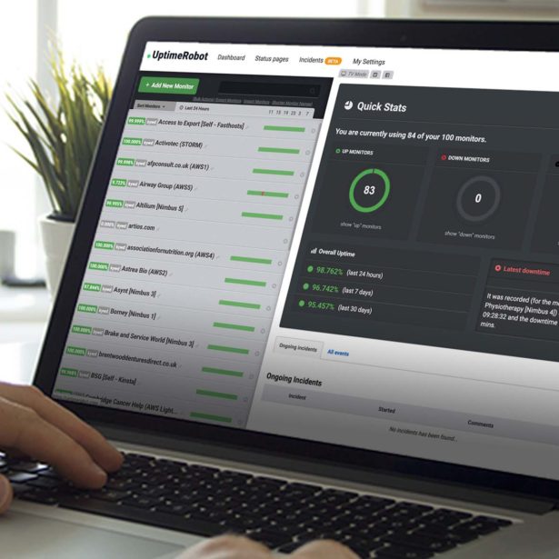 A screen showing out website monitoring tool, Uptime Robot