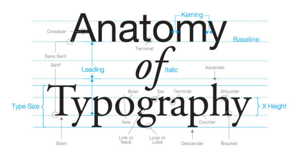 website-design-fonts website-design-fonts